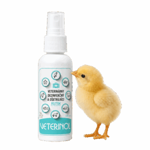 VETERINOL weterynaryjny środek leczniczy i dezynfekujący, spray 100 ml