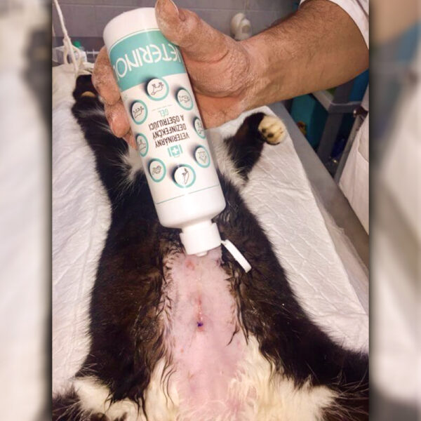 VETERINOL weterynaryjny środek leczniczy i dezynfekujący, spray 100 ml - obrazek 4