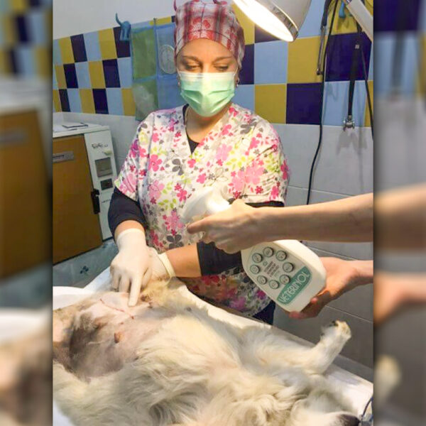 VETERINOL weterynaryjny środek leczniczy i dezynfekujący, spray 100 ml - obrazek 2